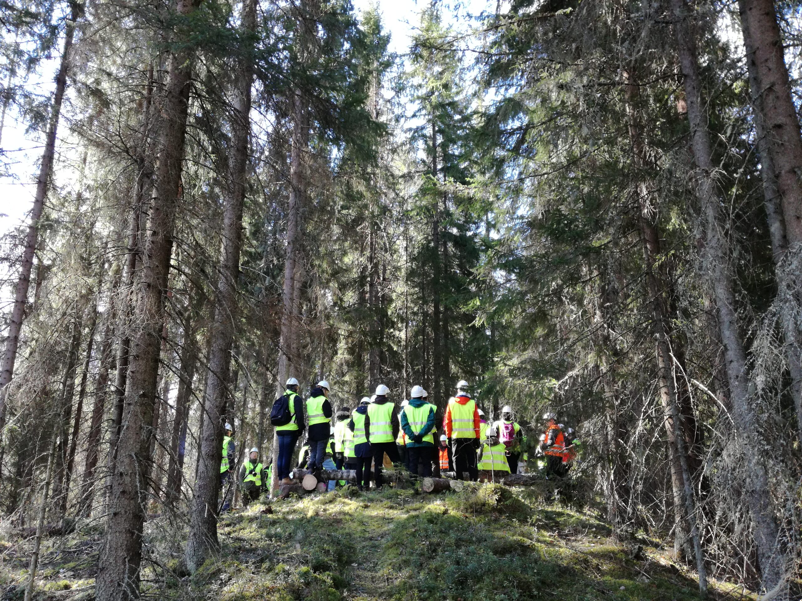PMA42 tutustui Asikkalassa Tornatorin järjestämällä hakkuukohteella suomalaiseen metsätalouteen. Kuva: Annamari Heikkinen