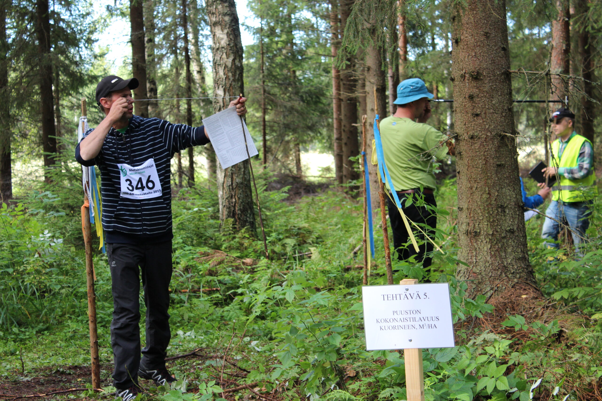 Metsätaidon SM-kisat 2015, metsänarviointitehtävä. Kuva: Anne Rauhamäki