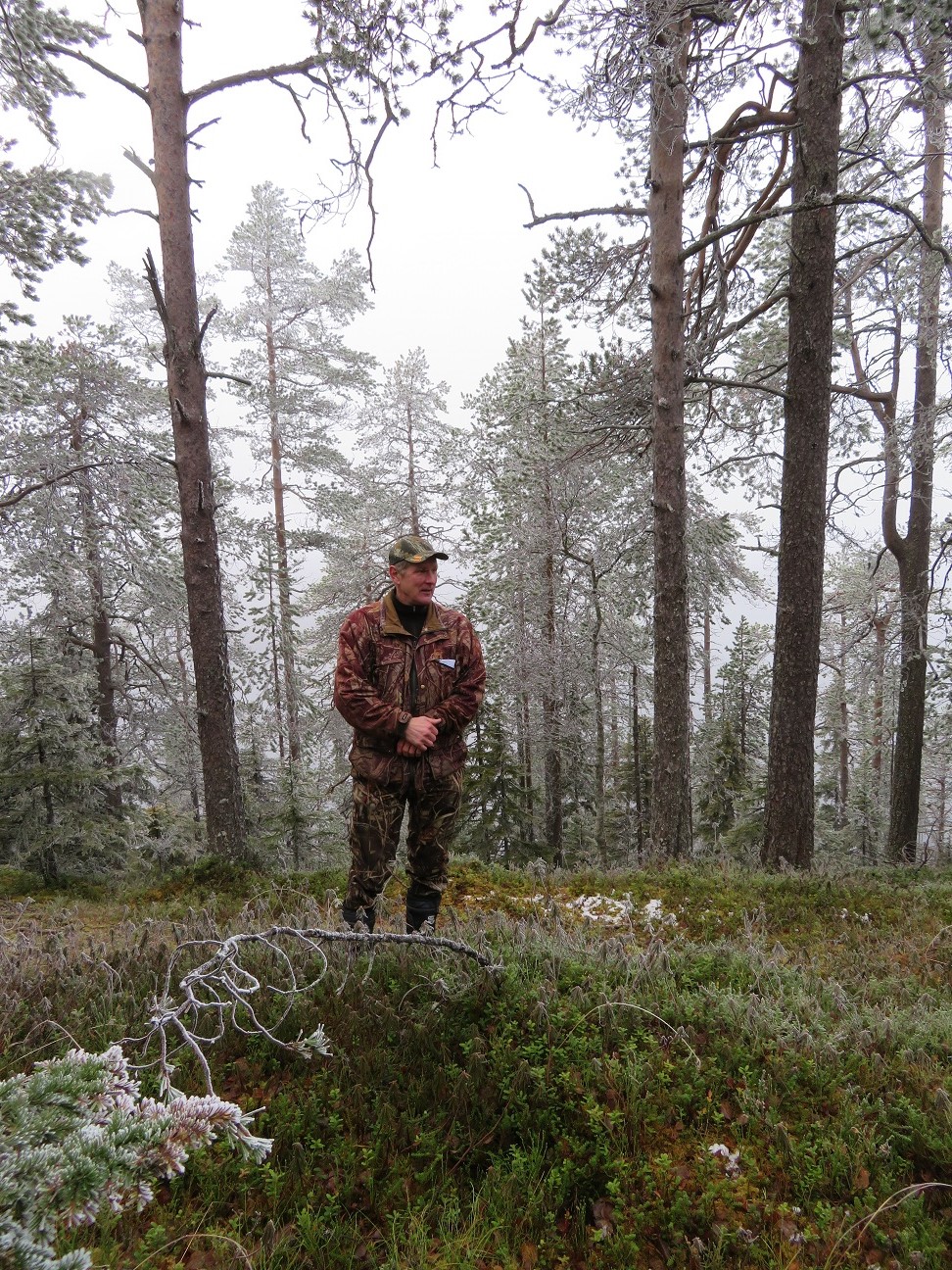 Kuusamolainen metsänomistaja Jouko Repo maallaan vanhassa metsässä Porontimajärven rannalla. Kuva: Laila Hökkä