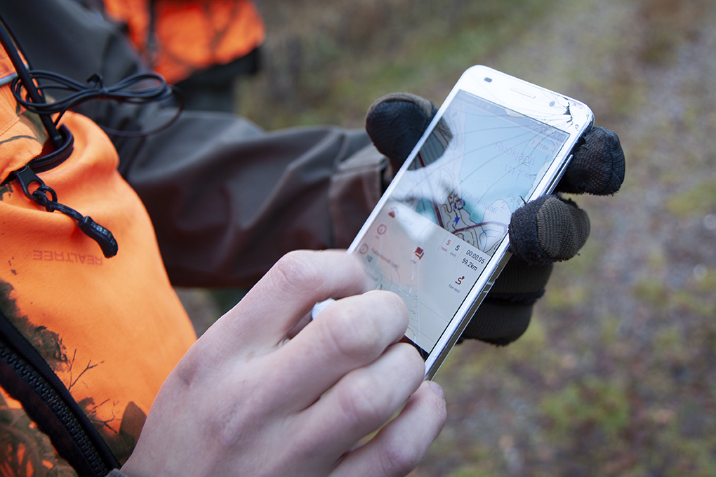 Hunting dogs are tracked using a GPS locator. Photo: Anna Kauppi