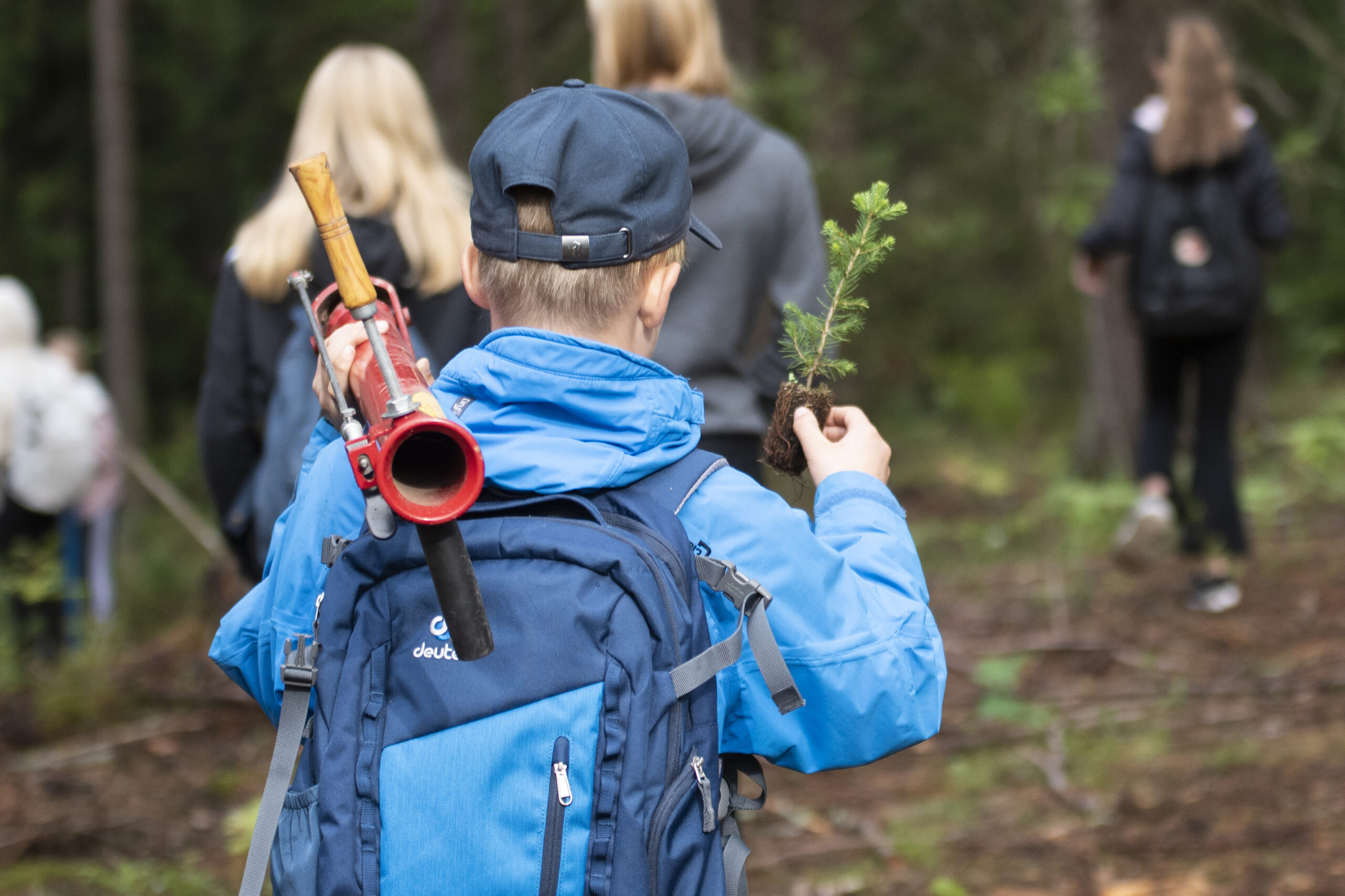 One task during the Schools Forest Week is to plant a tree. Photo: Vilma Issakainen