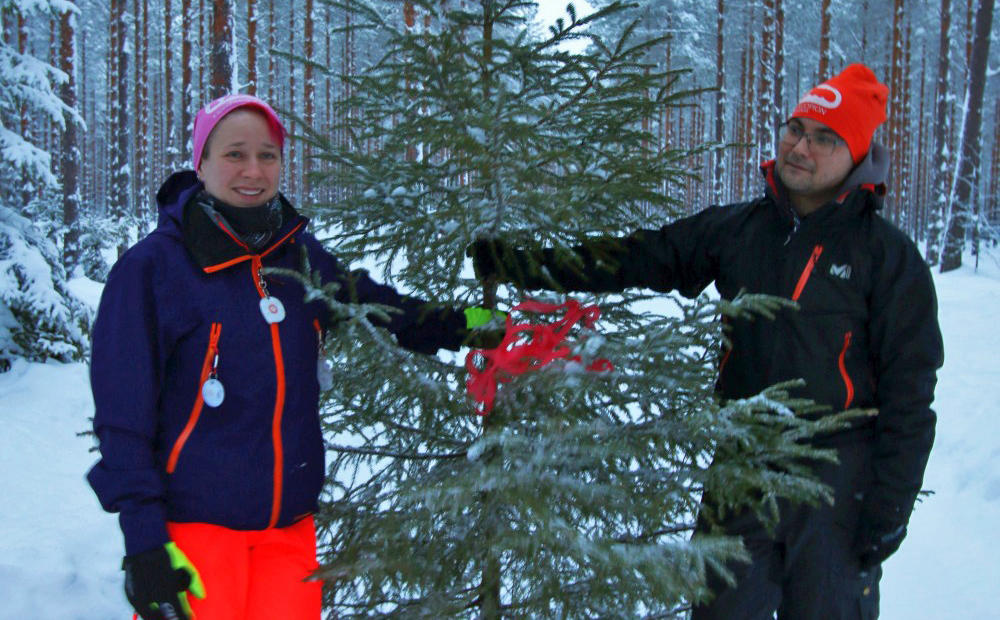Suomalaiset joulukuuset kasvavat Joulupuuseuran mukaan usein alle 100 kilometrin päässä myyntipaikalta. Annen ja Lassin löytämä kuusi on sekin paikallista tuotantoa. Kuva: Inkeri Palmio.