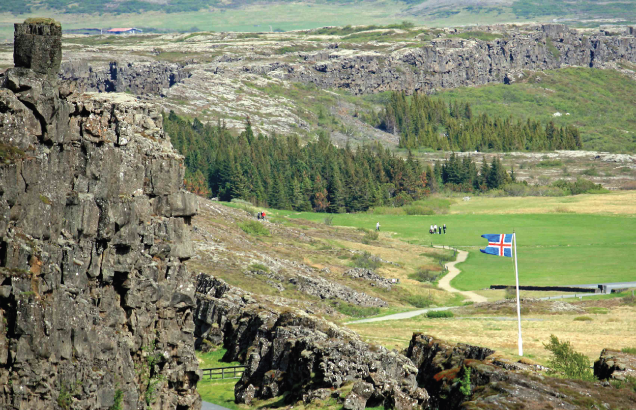 Metsä Islannissa. Kuva: Iceland Forest Service