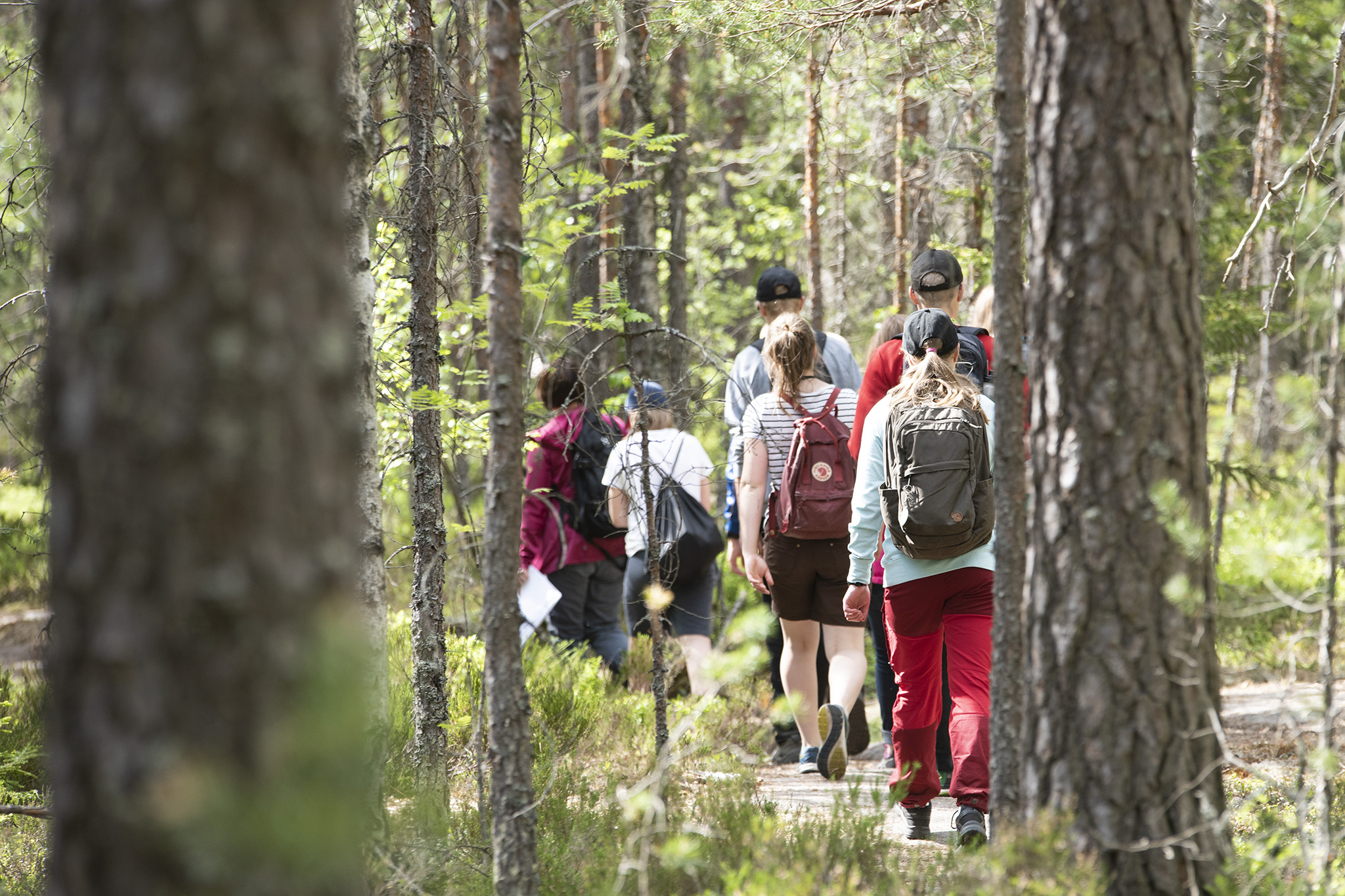 Metsävisan finaalin kilpailuryhmä metsäpolulla. Kuva: Vilma Issakainen