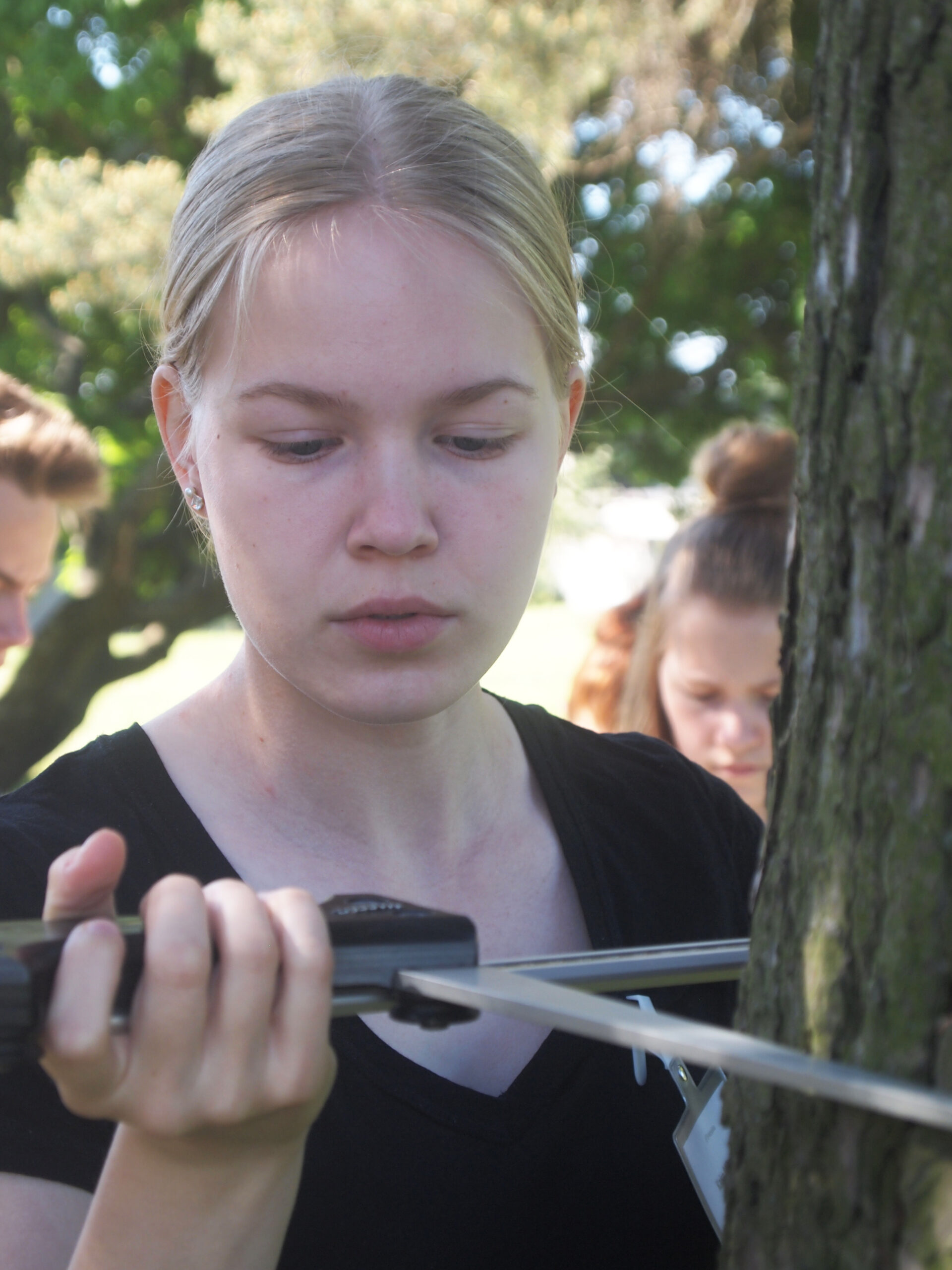 Forest Quiz 2016 finalist Kaisa Mikander measures the thickness of a tree at the University of Helsinki Department of Forest Sciences. Photo: Hannes Mäntyranta