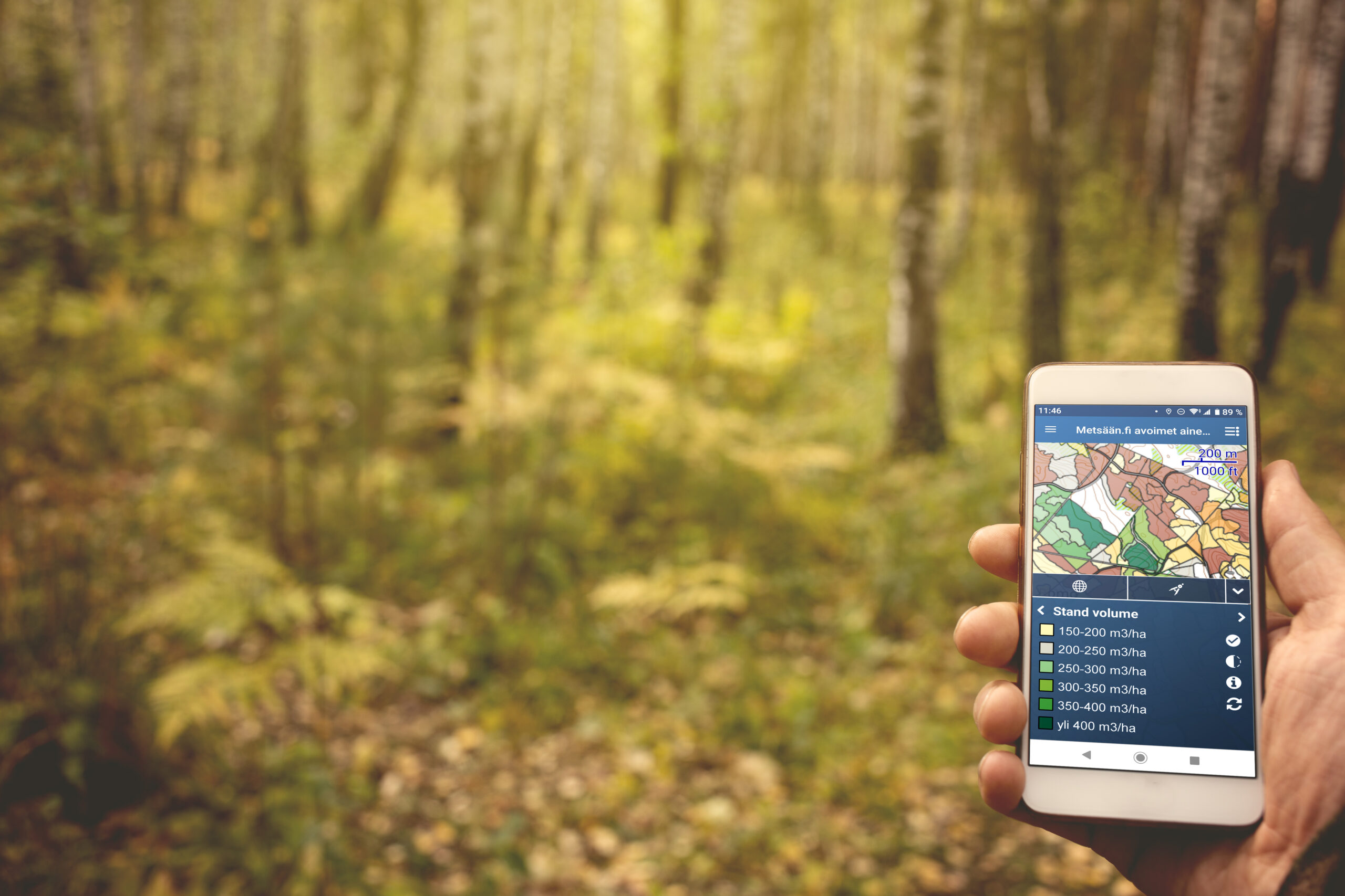 ProMS Mobile metsätietosovellus kännykällä.