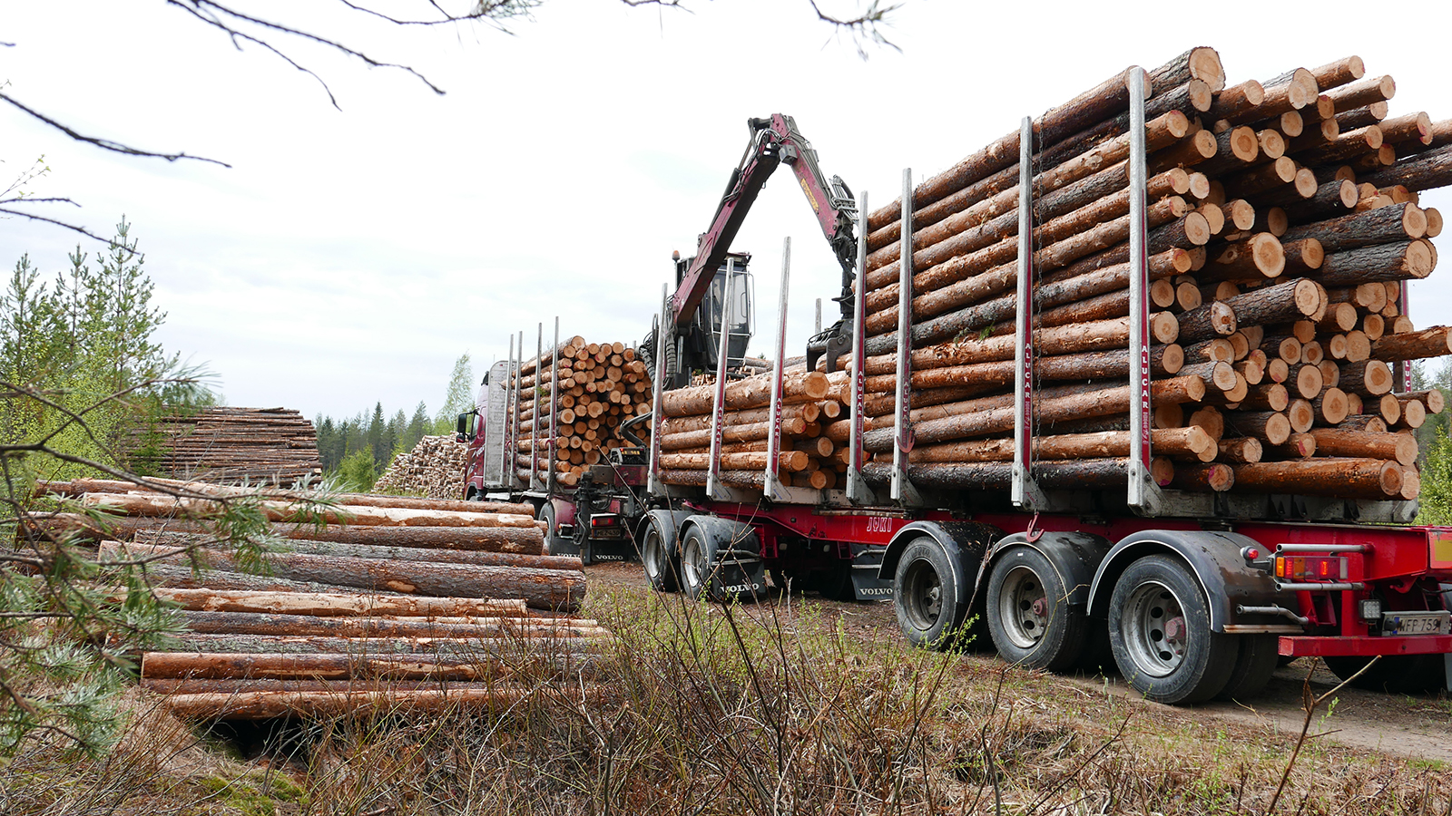Metsäteiden kunnostustuen edellytyksenä on, että metsätalouden kuljetusten osuus on yli 30 prosenttia tien käytöstä. Tiestä pitää myös tehdä riittävän kantava nykyaikaisia puutavara-autoja varten. Kuva: Päivi Mäki
