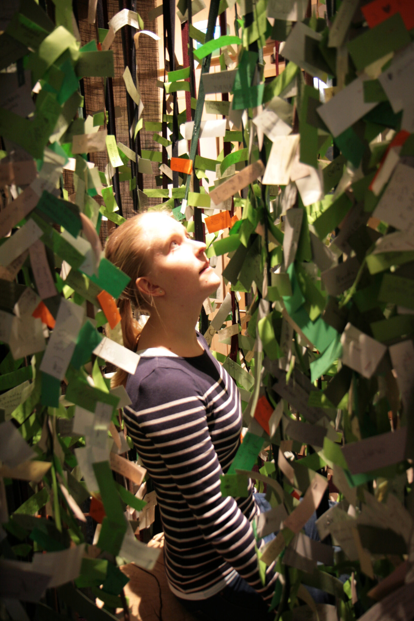 This tree at the Finnish Nature Centre Haltia shows what the visitors love in the forest. Most of the notes contain the name of someone near and dear. Most of us visit the forest together with somebody – not on our own. Photo: Anna Kauppi