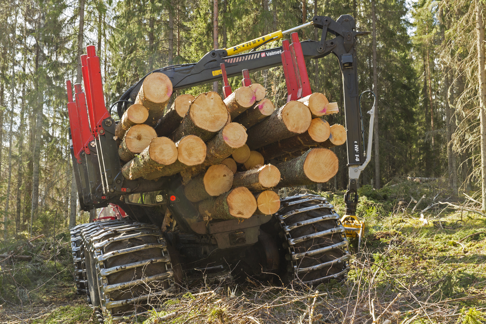 Timber. Photo: Erkki Oksanen