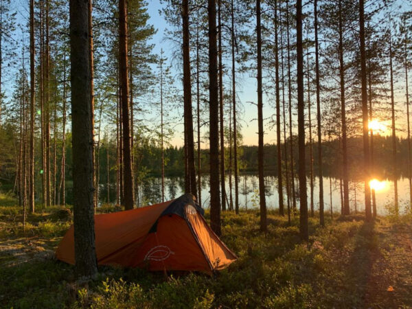 Metsät yhteiskunnassa