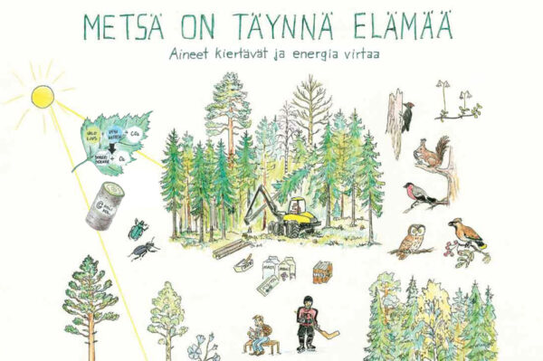 Metsä on täynnä elämää