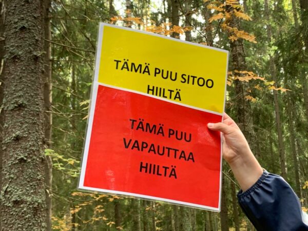Opettajien kesäretki Ruotsinkylän tutkimusmetsässä