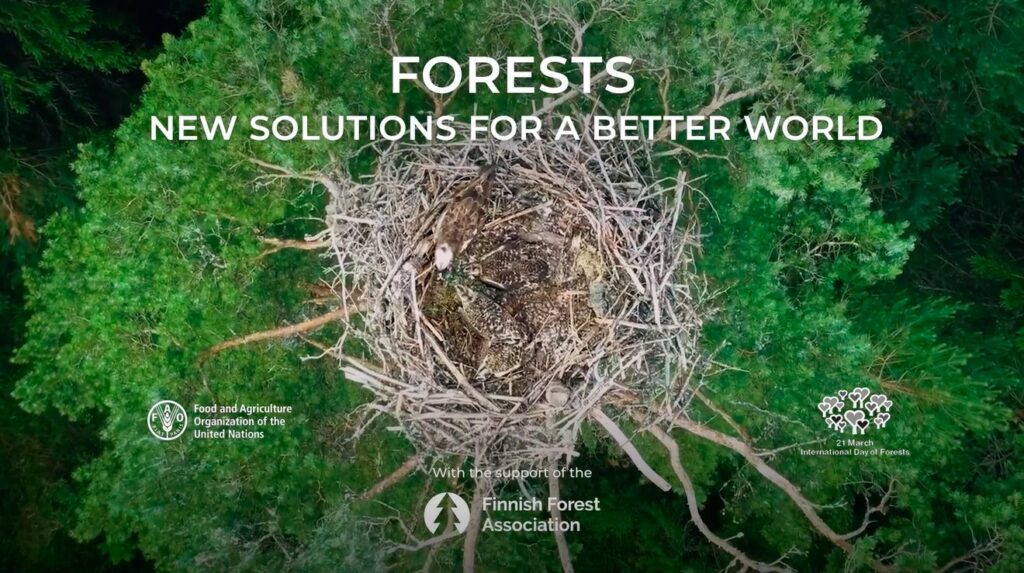 Kuvakaappaus FAOn ja Metsäyhdistyksen tuottamasta Metsien päivän videosta 2024