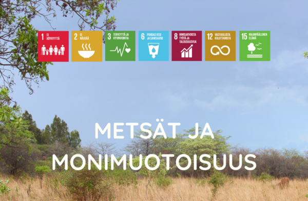 Metsät ja monimuotoisuus_kuva FFD videoluennot