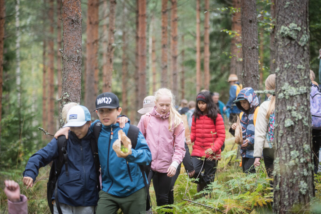 Kuudesluokkalaisia kulkee metsässä. Kuva: Vilma Issakainen