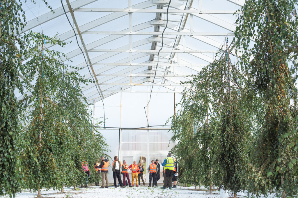 Siemenkeskuksessa kuultiin mm. rauduskoivun kasvatuksesta.